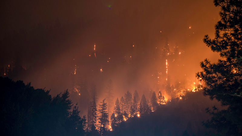 Amazon fires bushfires