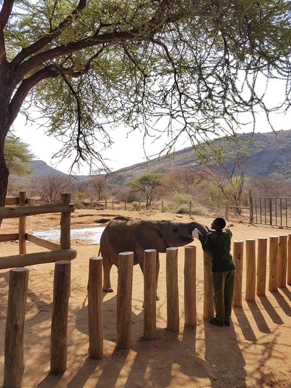 Visiting and supporting an Elephant sanctuary in Kenya is part of our programme INAUDIBLE VOICES dedicated to protecting endangered species.