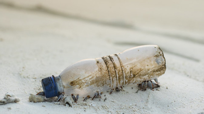 pollution par le plastique océans