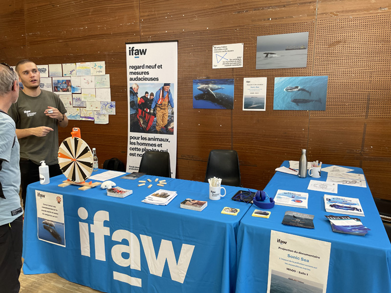 IFAW O'Dyssey - La journée des océans 2022 est une journée de sensibilisation sur la préservation du milieu marin - Pour célébrer la journée mondiale des océans